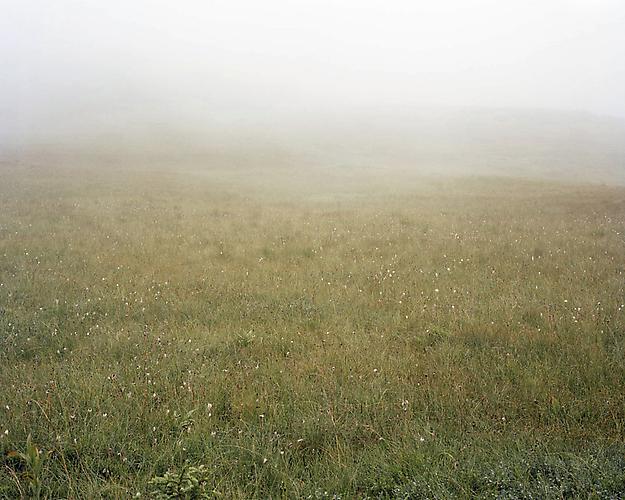 MEADOW 18 | MEADOW | 60 X 75 INCHES | 2012