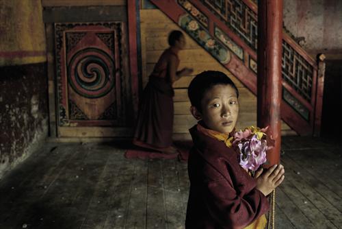 Young monk with flowers, Larung Gar, Kham, Tibet
2000
C-type print on Fuji Crystal Archive paper