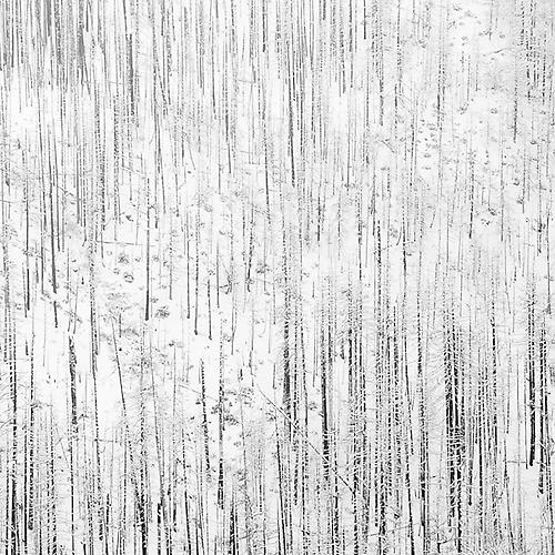 Zen Hillside II
2009
gelatin silver print