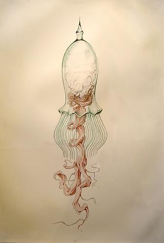 Belljar 1, 2011
watercolor on Arches
28 x 19 inches