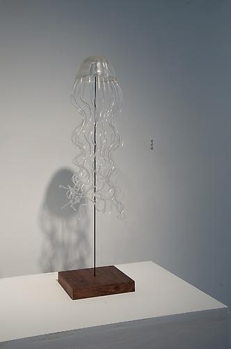 Jellyfish 1, 2011
epoxy and resin
23 x 5 x 5 inches