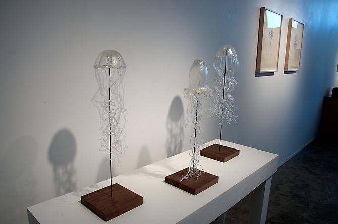 Jellyfish, 2011
installation view