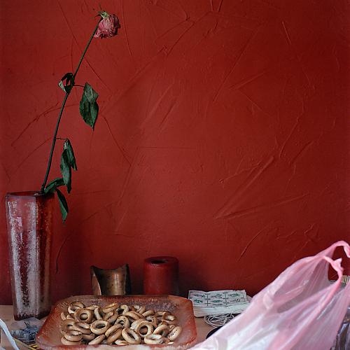 OLGA CHAGAOUTDINOVA | DRY RED ROSE | C-PRINT | 61 x 61 CENTIMETERS | 2006