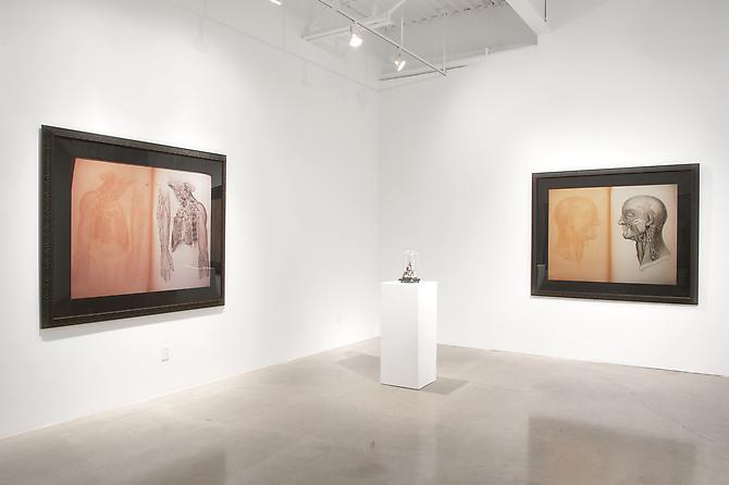 CINDY STELMACKOWICH | IN MOURNING OF | INSTALLATION VIEW | PATRICK MIKHAIL GALLERY | NOVEMBER 2010