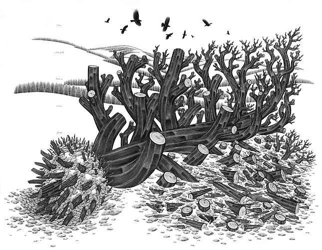 Eric Beltz, Noah's Shipwreck (2011)
Graphite On Bristol
30h x 38w in (76.2h x 96.52w cm)
