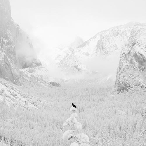 Crow and Valley View
2005