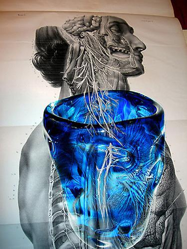 CINDY STELMACKOWICH | BLINDED BY SCIENCE: BLUE | C-PRINT | 24 X 32 INCHES | 2006