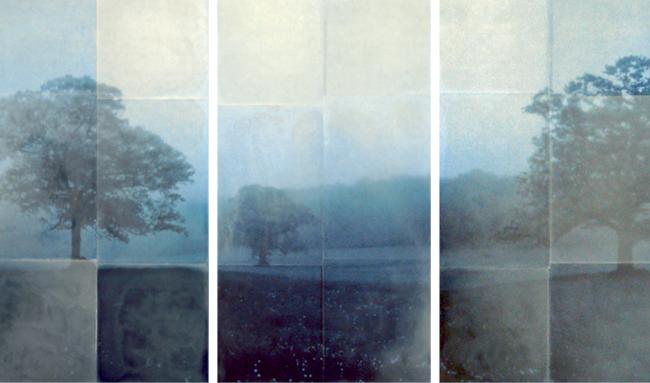 Am I Blue
36" x 62" triptych
encaustic on archival print mounted on wood
2010