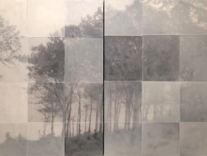 Sojourn
48" x 60" diptych
encaustic on archival print mounted on wood
2011