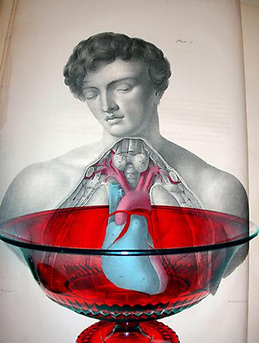 CINDY STELMACKOWICH | BLINDED BY SCIENCE: RED | C-PRINT | 24 X 32 INCHES | 2006