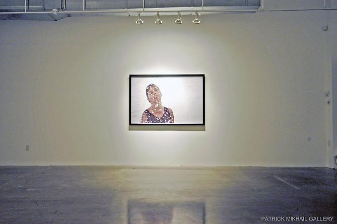 OLGA CHAGAOUTDINOVA | STOM-ACHE | NSTALLATION VIEW | PATRICK MIKHAIL GALLERY | 2010
