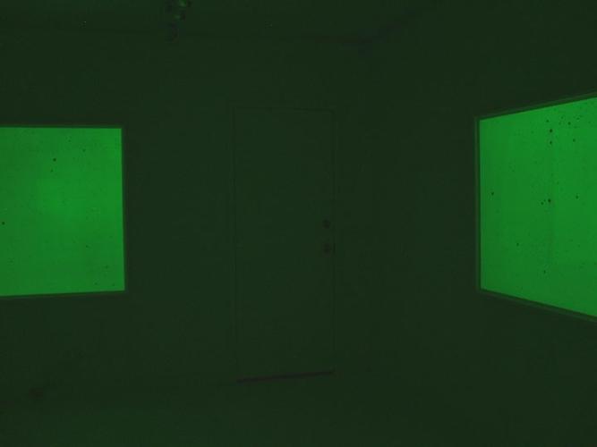 Mungo Thomson
Dark Matter, 2010
Installation view
Gavlak, Palm Beach