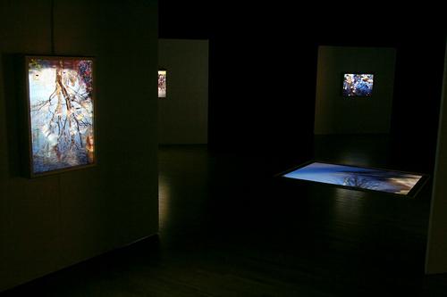 CHERYL PAGUREK | FLOW AND REFLECTION | INSTALLATION VIEW | LA MAISON DE LA CULTURE DU PLATEAU MONT-ROYAL | 2009


FEATURED EXHIBITION | THE SPACES OF THE IMAGE | LE MOIS DE LA PHOTO A MONTREAL | SEPTEMBER 10 TO OCTOBER 11, 2009