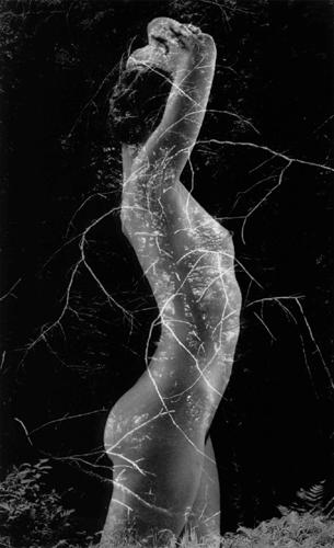 Symbiosis
1971
selenium-toned gelatin silver print