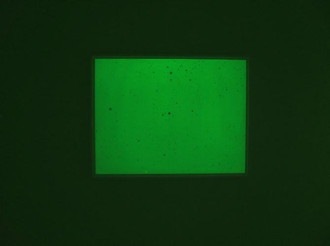 Mungo Thomson
Dark Matter, 2010
Installation view
Gavlak, Palm Beach