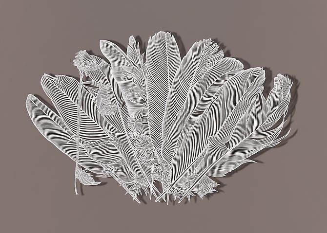 Trimming Feathers, 2012
Cut paper, Chinese xuan (rice) paper on silk
25 x 16.5 inches