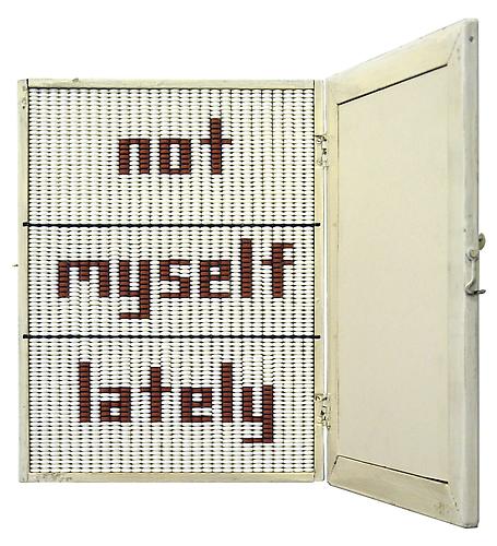 John Salvest, Not Myself Lately (2008)
Wood, Mirror, Glass, Aspirin, Ibuprofen
16h x 18w x 16d in (40.64h x 45.72w x 40.64d cm)