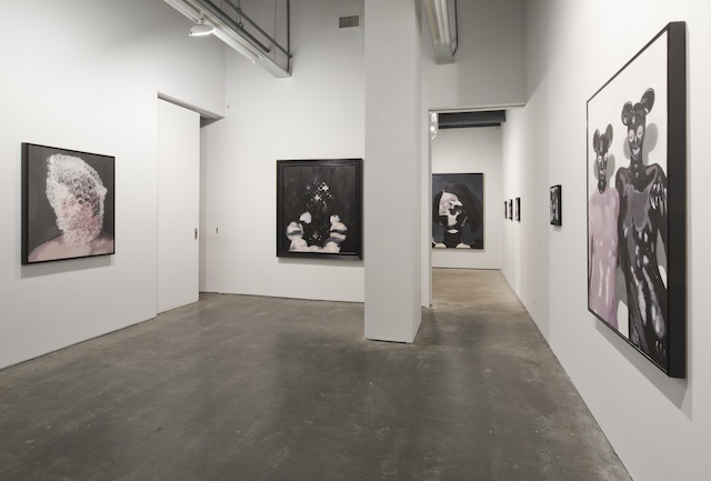Installation view,  hypochondraicatthegramercyparkhotel 