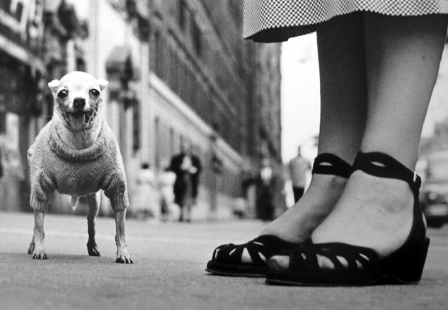 New York [dog & sandals]
1946