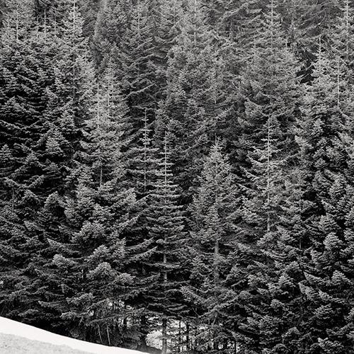 Winter Hillside
2002
gelatin silver print
