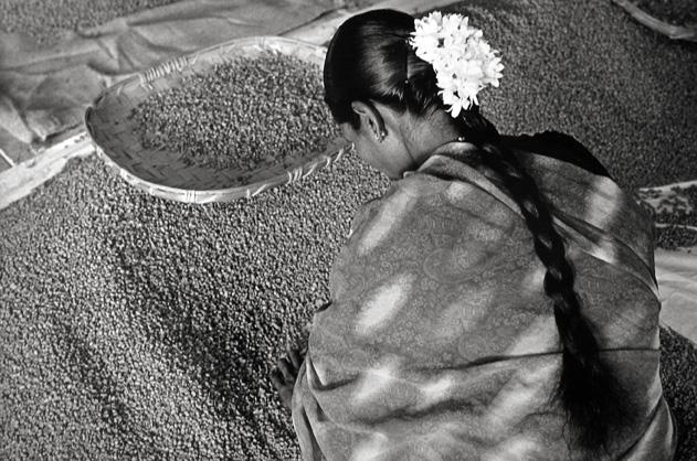 India, Woman with Flowers in her Hair
2003
gelatin silver print
