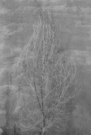 Taos, New Mexico
1974
gelatin silver print