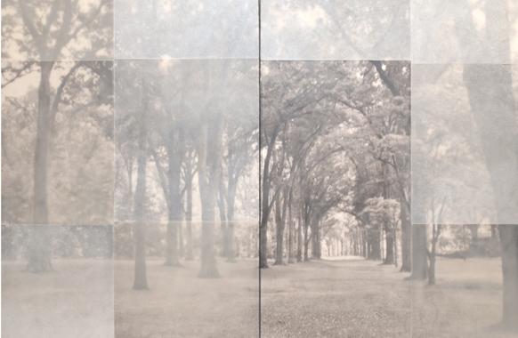Canopy
48" x 72" diptych
oil on encaustic on archival print mounted on wood
2011