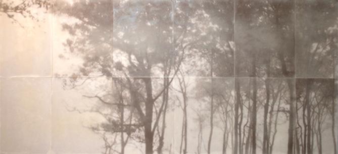 Champagne 
36" x 80" 
encaustic on archival print mounted on wood
2011