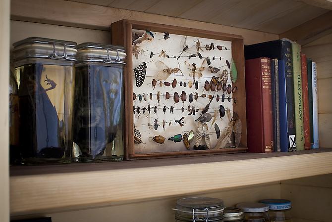 Research Station (2012) with Taylor Blachly
(detail)