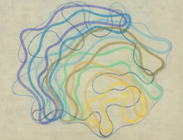 El Centro de tu Vida, 2009
Acrylic, colored pencil and graphite on canvas, 39 x 51 inches