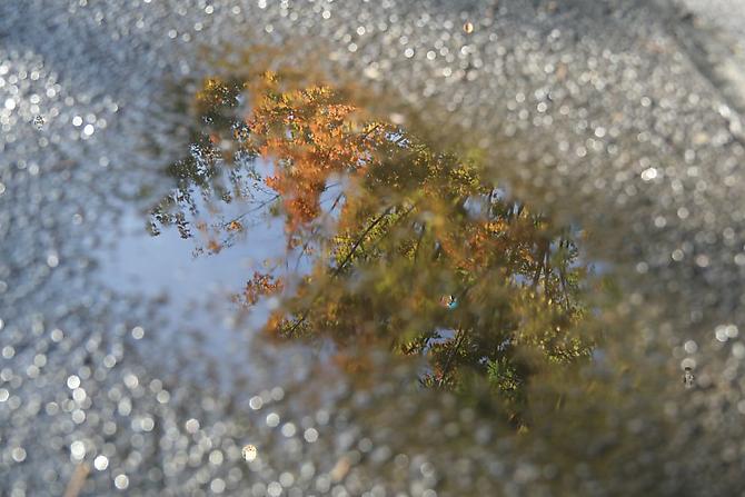 CHERYL PAGUREK | REFLECTION 8 | INK JET PRINT ON LUSTRE PHOTOGRAPHIC PAPER | 91.4 X 137 CENTIMETERS | 2007