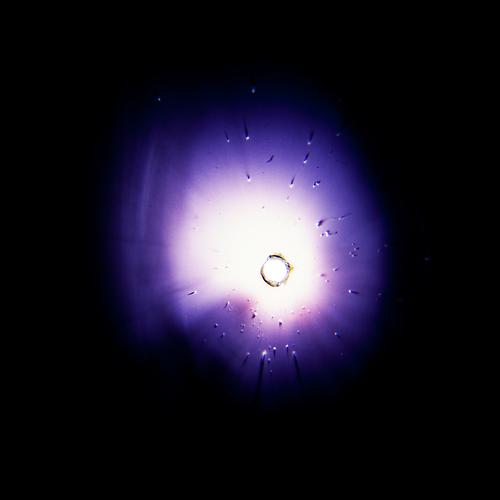 ANDREW WRIGHT | CORONAE | DIGITAL C-PRINT MOUNTED ON DIBOND | 60 X 60 INCHES | 2011