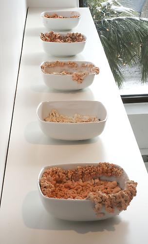 INSTALLATION VIEW | 40019's CEASELESS TRANSFORMATIONS | PATRICK MIKHAIL GALLERY | 2009