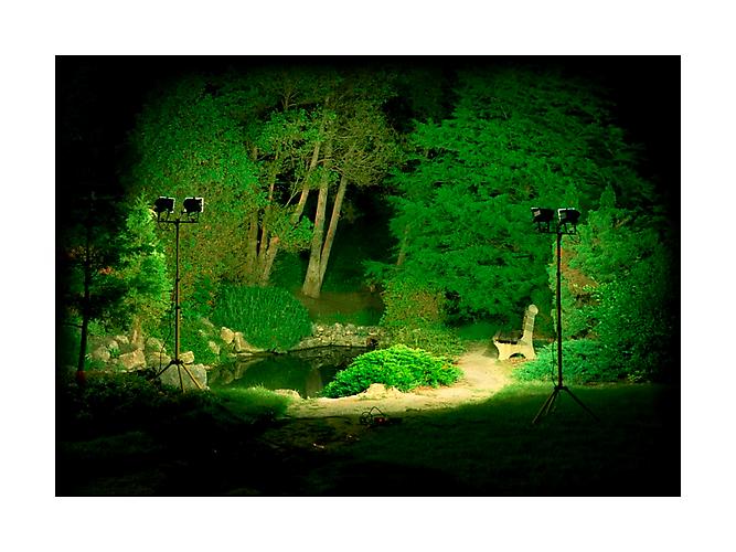 POND #1 | ILLUMINATED LANDSCAPE SERIES | C-PRINT | 30 X 40 INCHES | 2002