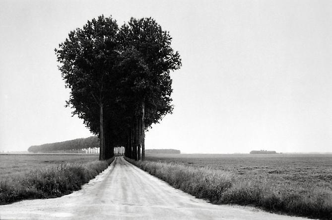 Brie, France
1968
gelatin silver print