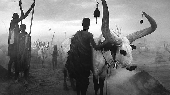 Sebastião Salgado | Project Room