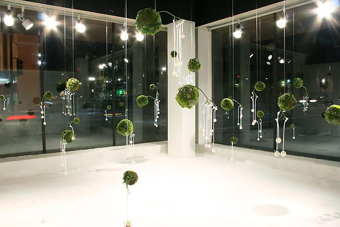 Dispersion, 2008
preserved moss, silicone and acryllic
dimensions variable