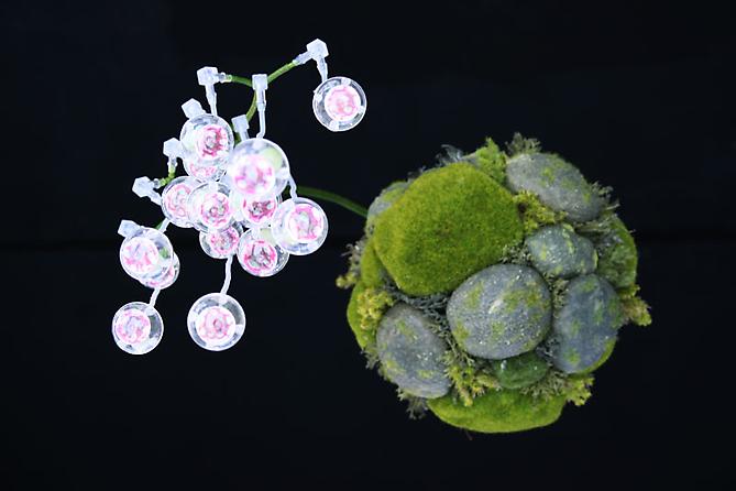 Dispersion (detail), 2008
preserved moss, silicone and acryllic
dimensions variable