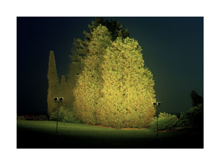 STAND | ILLUMINATED LANDSCAPE SERIES | C-PRINTS | 30 X 40 INCHES | 2002