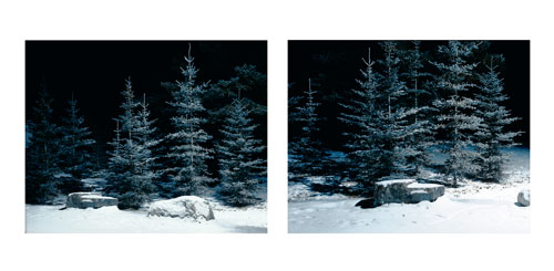 SUBURBS | C-PRINTS | 11 X 14 INCHES EACH | 2002