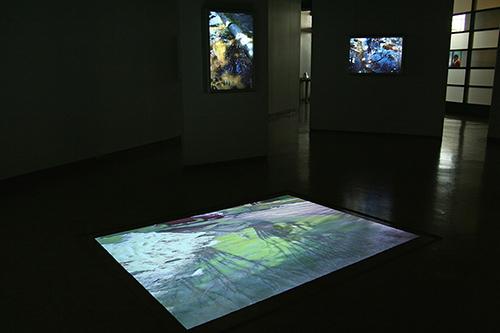 CHERYL PAGUREK | FLOW | INSTALLATION VIEW | OTTAWA CITY HALL ART GALLERY | 2008