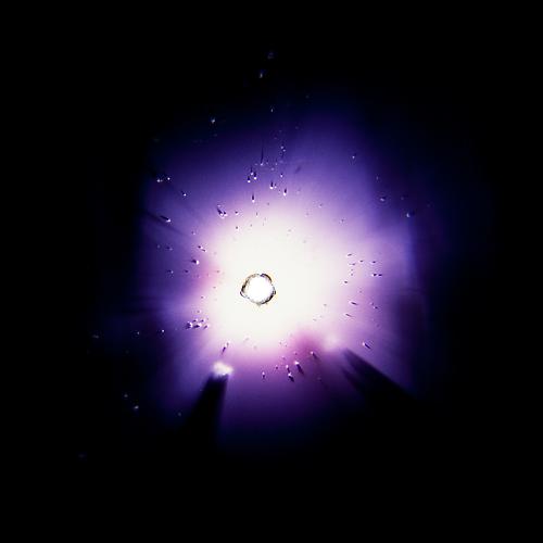 ANDREW WRIGHT | CORONAE | DIGITAL C-PRINT MOUNTED ON DIBOND | 60 X 60 INCHES | 2011