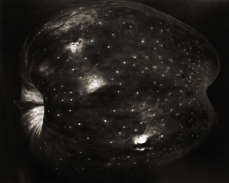 Galaxy Apple, New York
1968
gelatin silver print