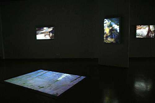 CHERYL PAGUREK | FLOW | INSTALLATION VIEW | OTTAWA CITY HALL ART GALLERY | 2008