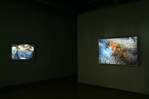CHERYL PAGUREK | FLOW | INSTALLATION VIEW | OTTAWA CITY HALL ART GALLERY | 2008