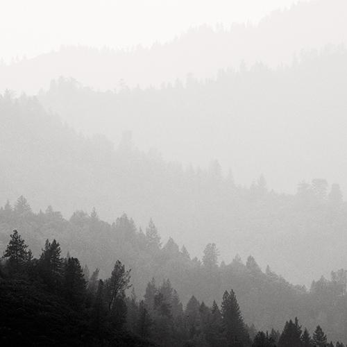 Cascading Hills
2008
gelatin silver print