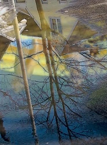 CHERYL PAGUREK | FLOW | INK JET PRINT ON PHOTOGRAPHIC PAPER | 24 X 18 CENTIMETERS | 2008