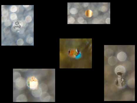CHERYL PAGUREK | REFLECTION 8 (DETAILS OF UPSIDE-DOWN IMAGES SEEN WITHIN THE CIRCLES OF REFRACTED LIGHT)