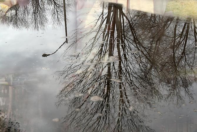 CHERYL PAGUREK | REFLECTION 3 | INK JET PRINT ON SEMI-MATT PHOTOGRAPHIC PAPER | 43.4 X 65 CENTIMETERS | 2006