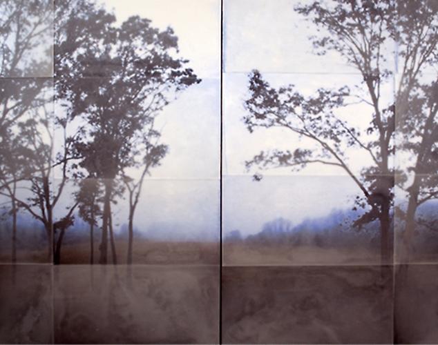 Far Away and Blue
48" x 60" diptych
encaustic on archival print mounted on wood
2010